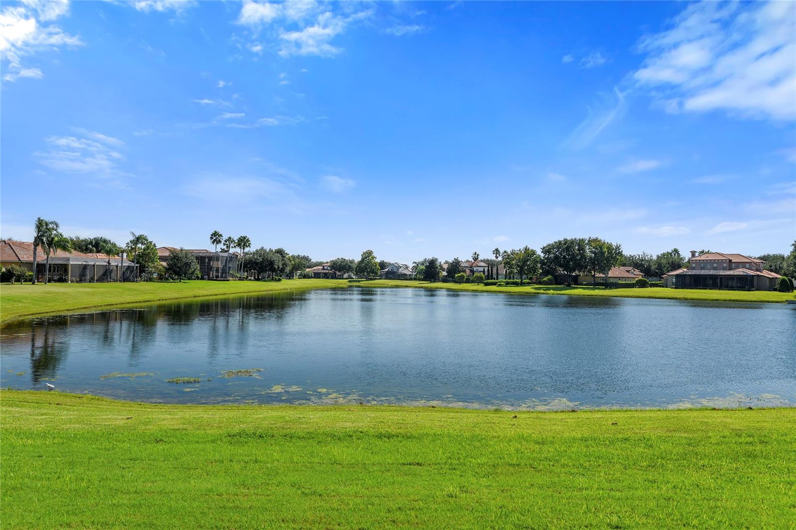 TILDENS GROVE - Residential