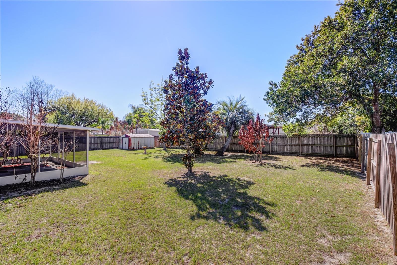 RIO PINAR WOODS - Residential