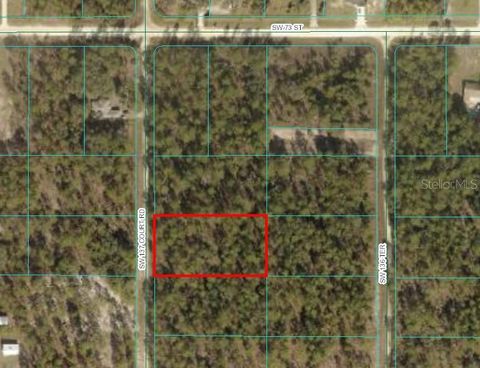 TBD SW 137TH COURT ROAD DUNNELLON FL 34432