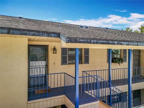 110 N TREMAIN STREET 206 MOUNT DORA FL 32757