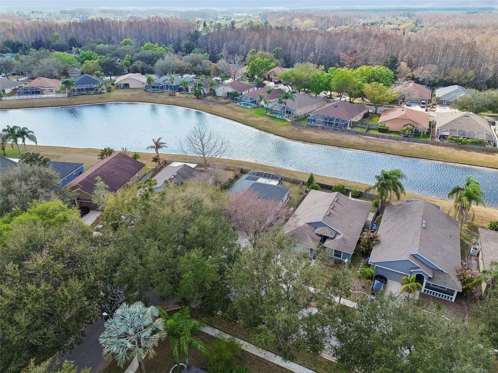 VILLAROSA K - Residential