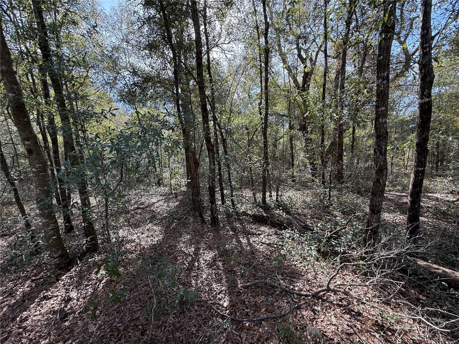 UNIVERSITY ESTATES - Land