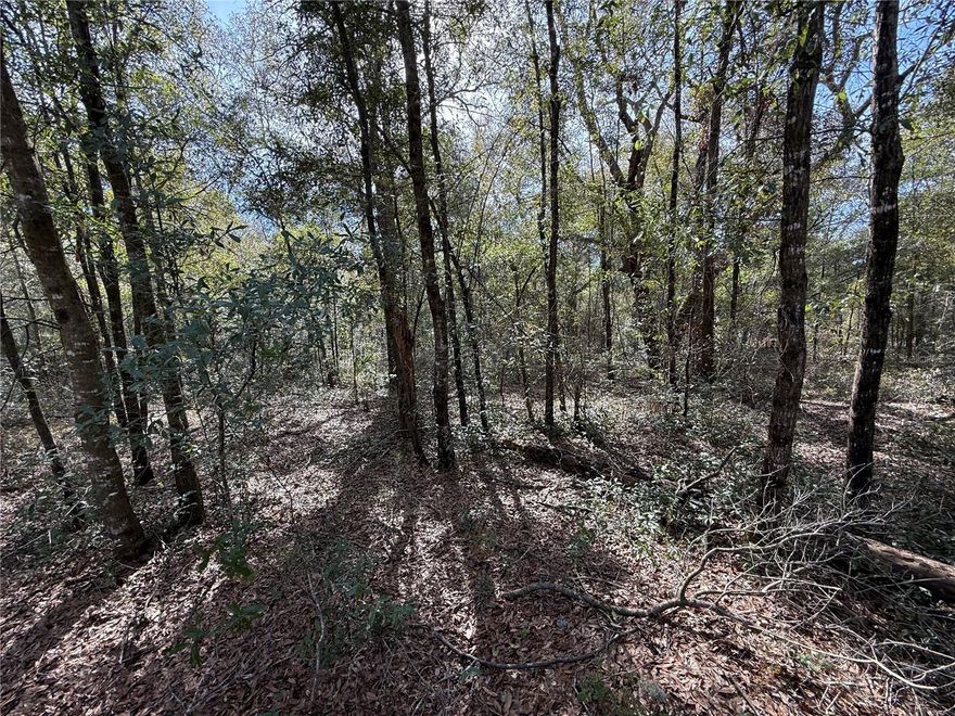 UNIVERSITY ESTATES 1.25 ACRE BUILDING PARCEL! Welcome to Bronson! Discover the potential of this 1.25 acre parcel, offering space and privacy, away from the city life. The uncleared land provides a blank slate to design a home tailored to your lifestyle. Zoned Rural Residential (RR) allowing for site-built or manufactured homes. Parcel measures about 165' on the road and 297' deep. Perfectly positioned 15 minutes from Williston and 30 minutes from Gainesville, this property delivers the ideal blend of natural beauty and accessibility.