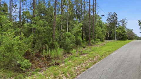 Tiny photo for 0000 SW Nautilus Boulevard, Dunnellon, FL 34431 (MLS # TB8522010)
