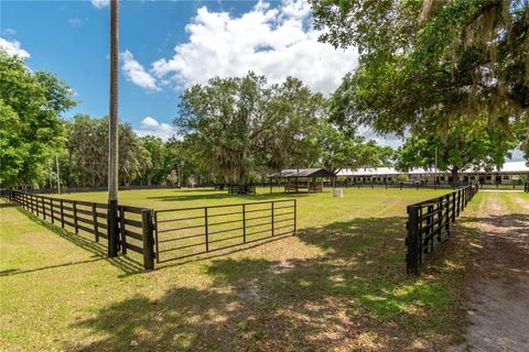 Tiny photo for 14650 NW 160th Avenue, Williston, FL 32696 (MLS # OM721919)