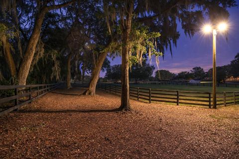 Tiny photo for 14650 NW 160th Avenue, Williston, FL 32696 (MLS # OM721919)