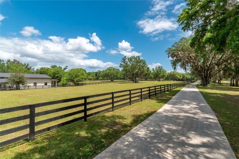 Tiny photo for 14650 NW 160th Avenue, Williston, FL 32696 (MLS # OM721919)