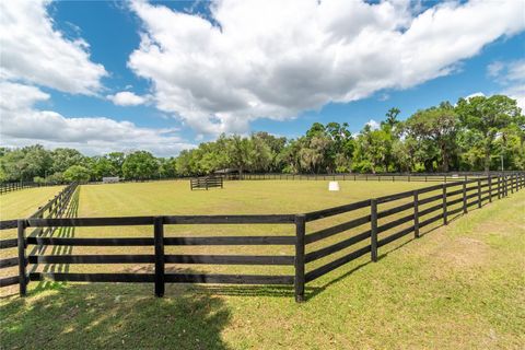 Tiny photo for 14650 NW 160th Avenue, Williston, FL 32696 (MLS # OM721919)