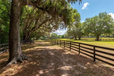 Tiny photo for 14650 NW 160th Avenue, Williston, FL 32696 (MLS # OM721919)