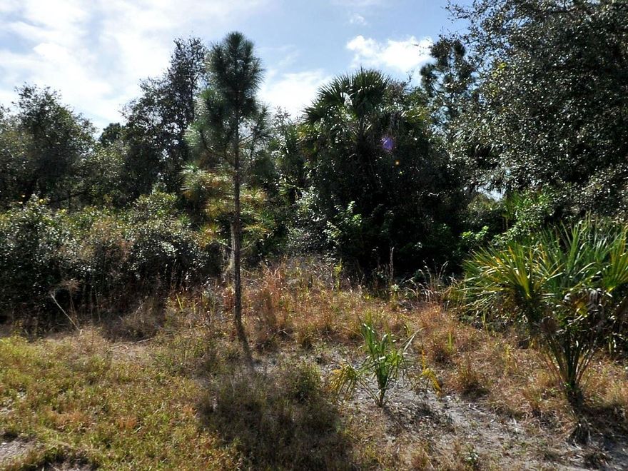 Vacant lot, ready to build, located in a cul-de-sac.