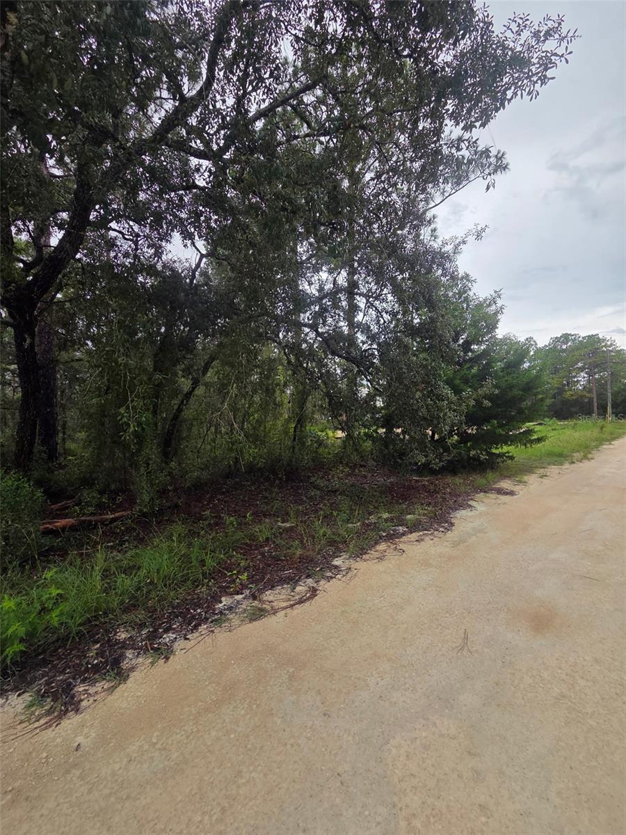 15326 MOTTLED OWL ROAD