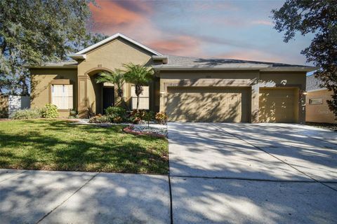 A home in RIVERVIEW