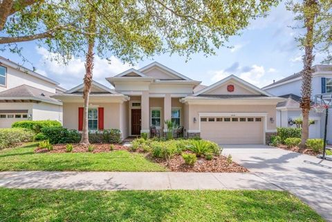 5204 SPARROWGLEN PLACE LITHIA FL 33547