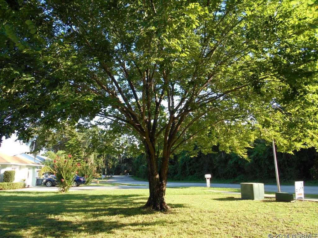 Fair Oaks Villas - Residential