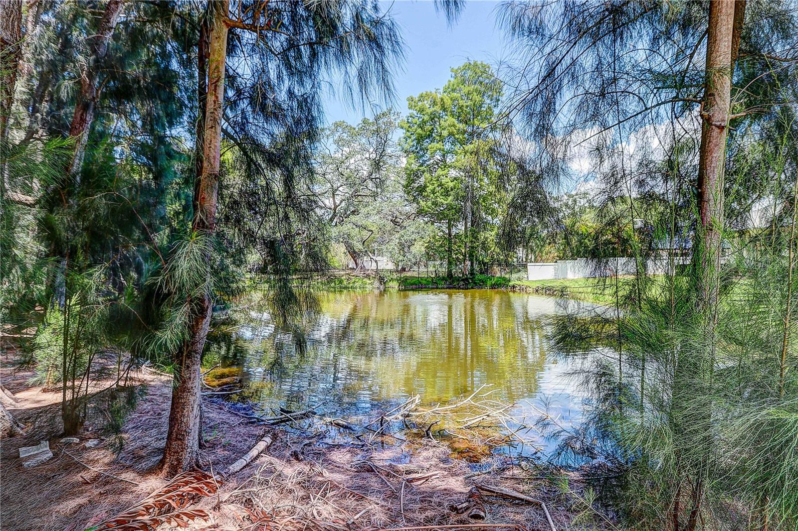 HENDERSON BEACH - Residential
