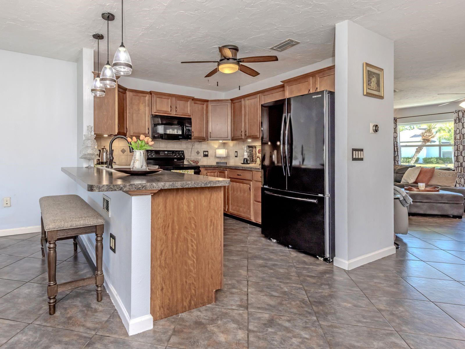 SOUTH VENICE - Residential