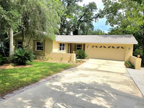 A home in ALTAMONTE SPRINGS