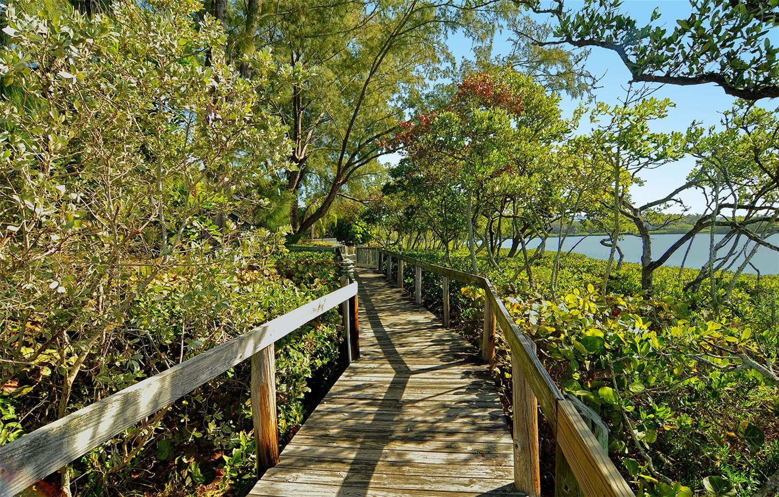 PELICAN COVE I - Residential Lease
