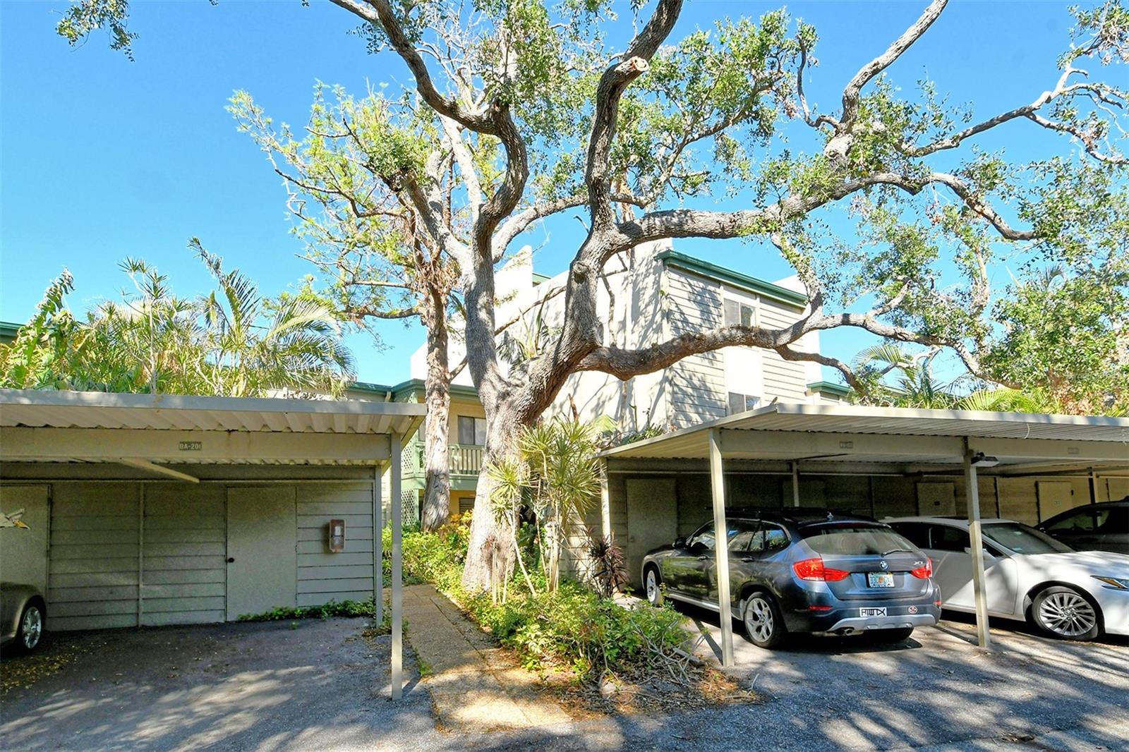 PELICAN COVE I - Residential Lease