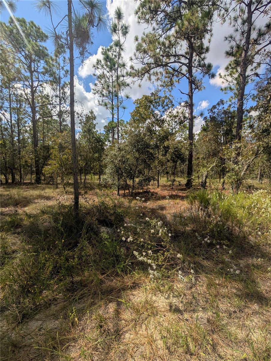 RAINBOW LAKES ESTATE - Land