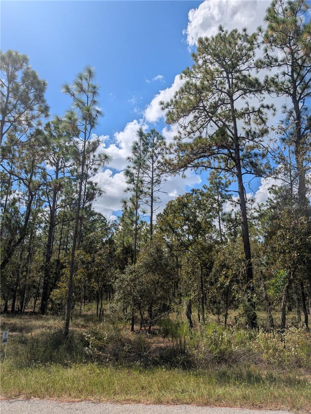 Photo of 11 SE 135th Court, Dunnellon, FL 34432 (MLS # OM712130)