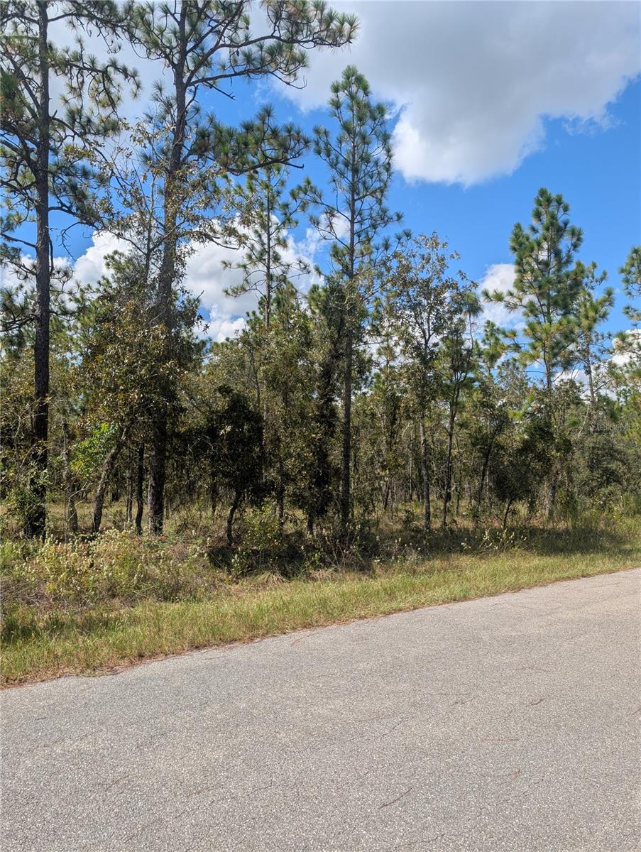 LOT#11 SE 135TH COURT