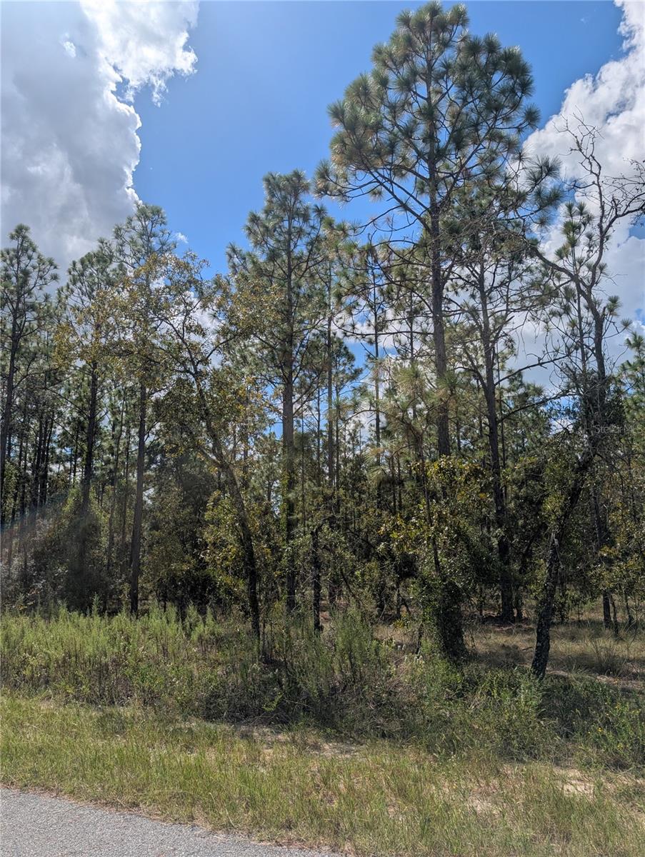 RAINBOW LAKES ESTATE - Land