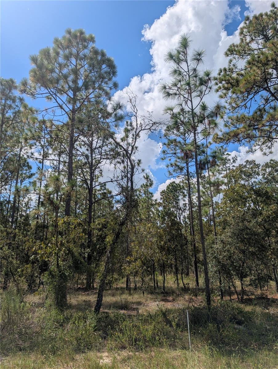 RAINBOW LAKES ESTATE - Land