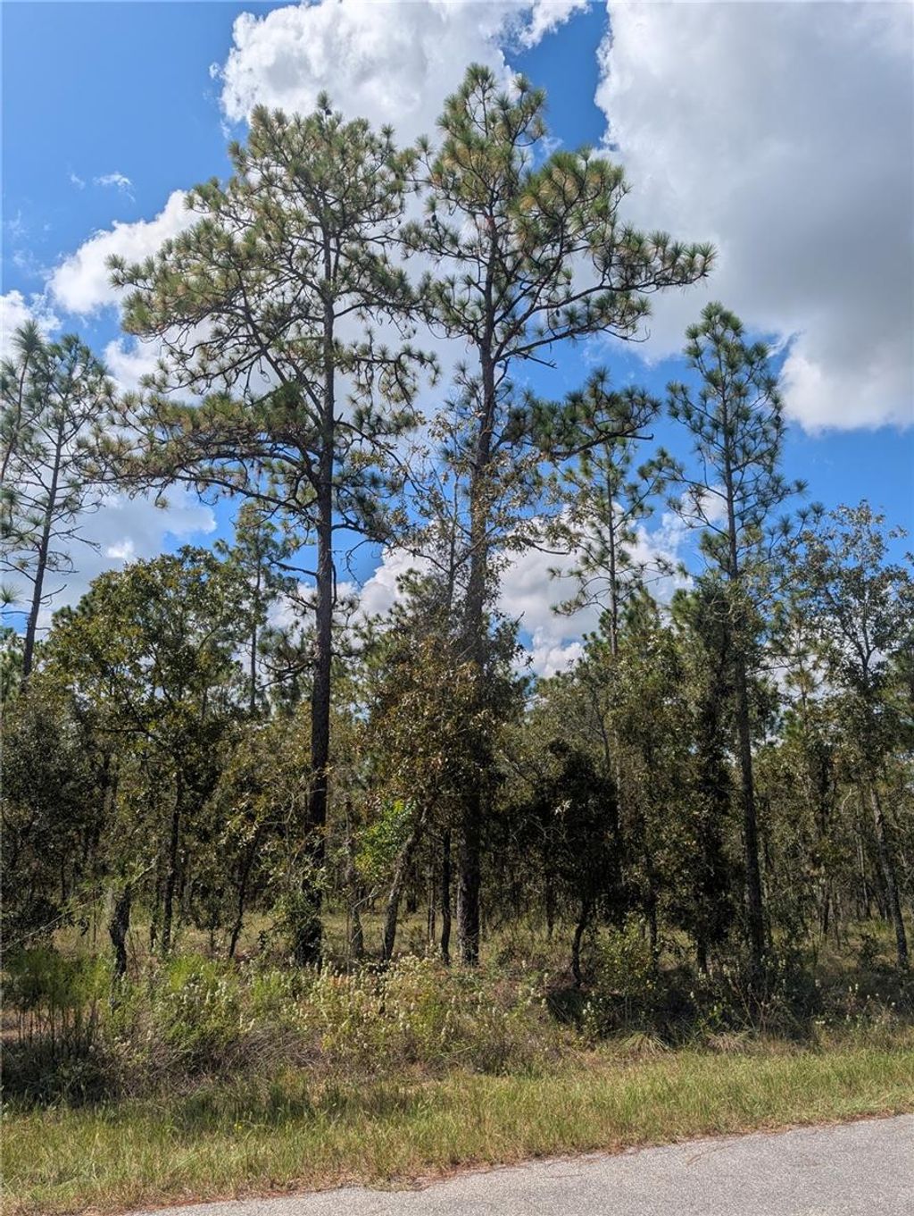Photo of 11 SE 135th Court, Dunnellon, FL 34432 (MLS # OM712130)