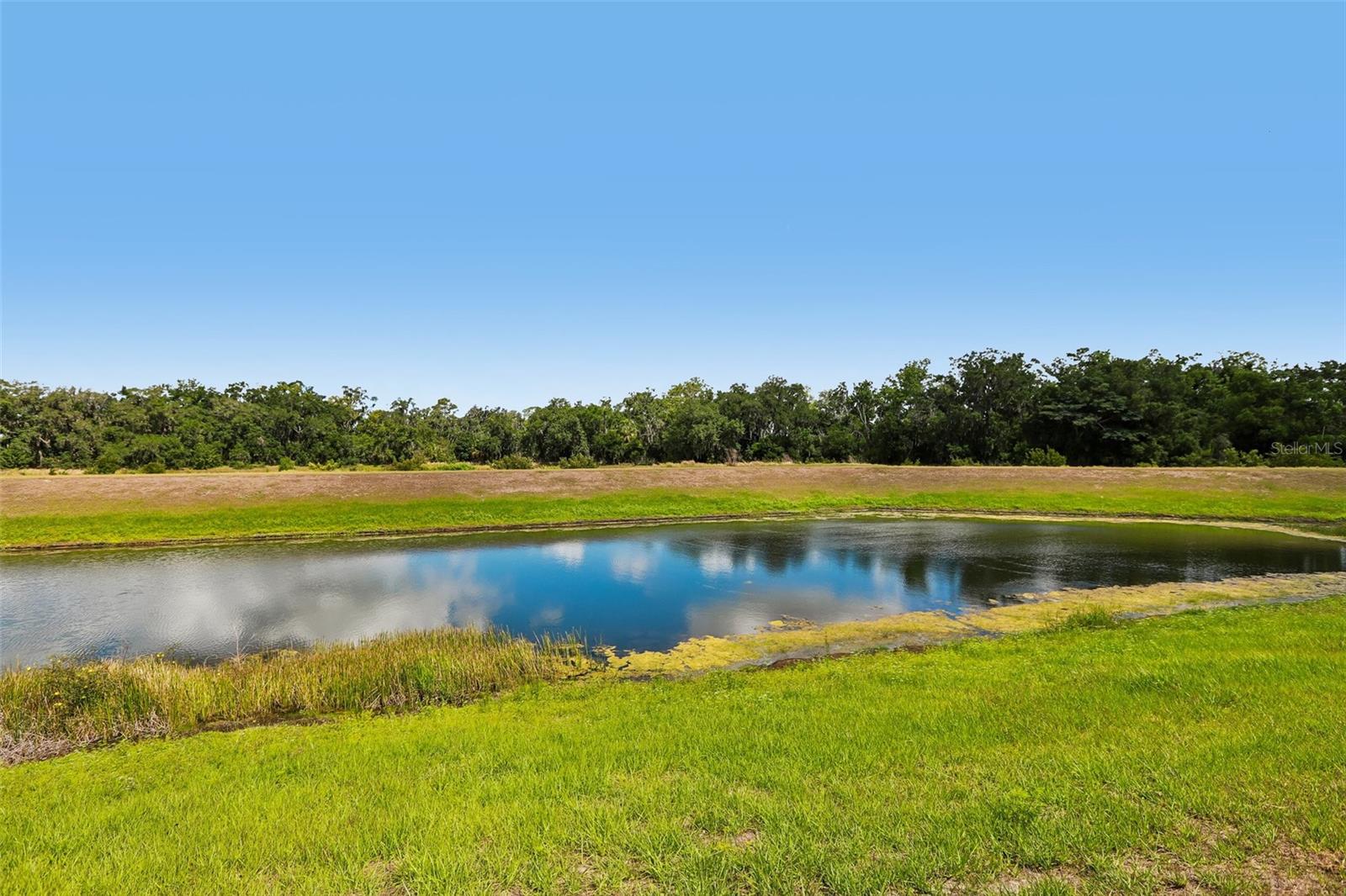 FOREST BROOKE PH 4B - Residential