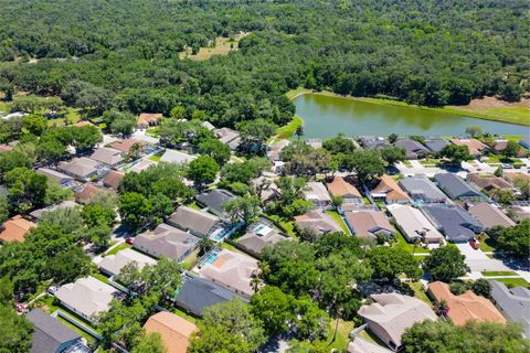 A home in VALRICO