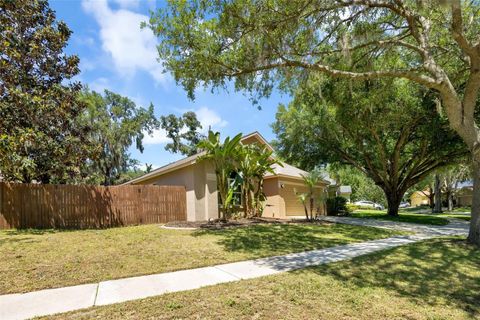 A home in VALRICO