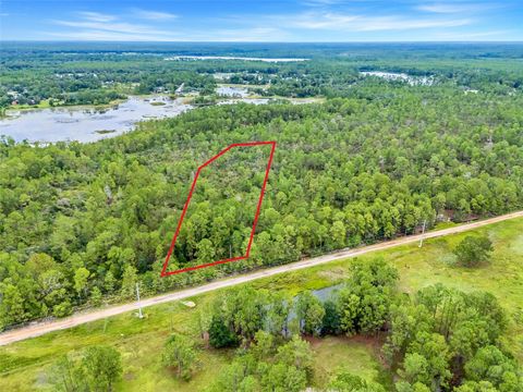 BUCK RUN DRIVE PAISLEY FL 32767