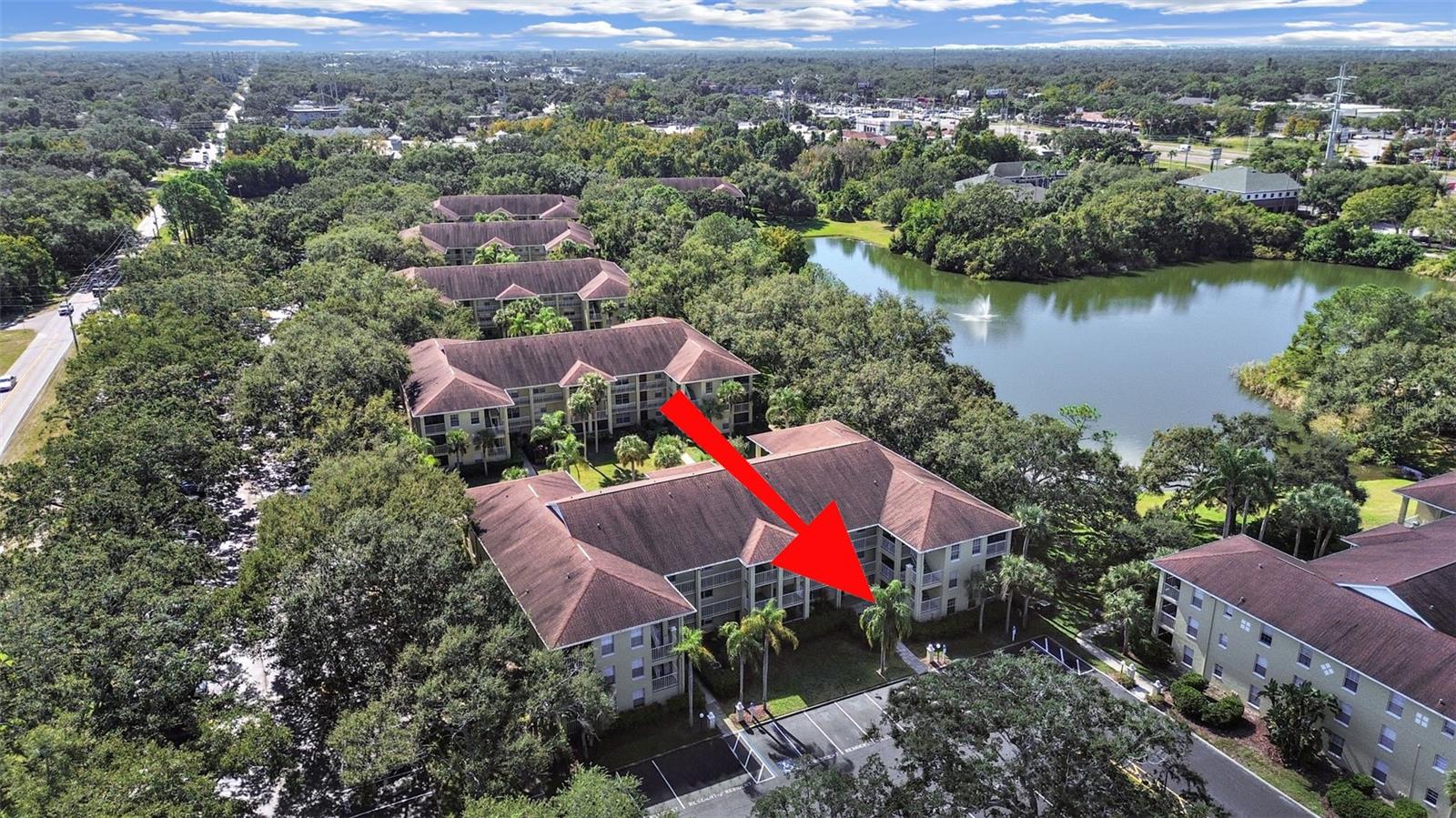 MEADOWLAKE PALM HARBOR CONDO - Residential