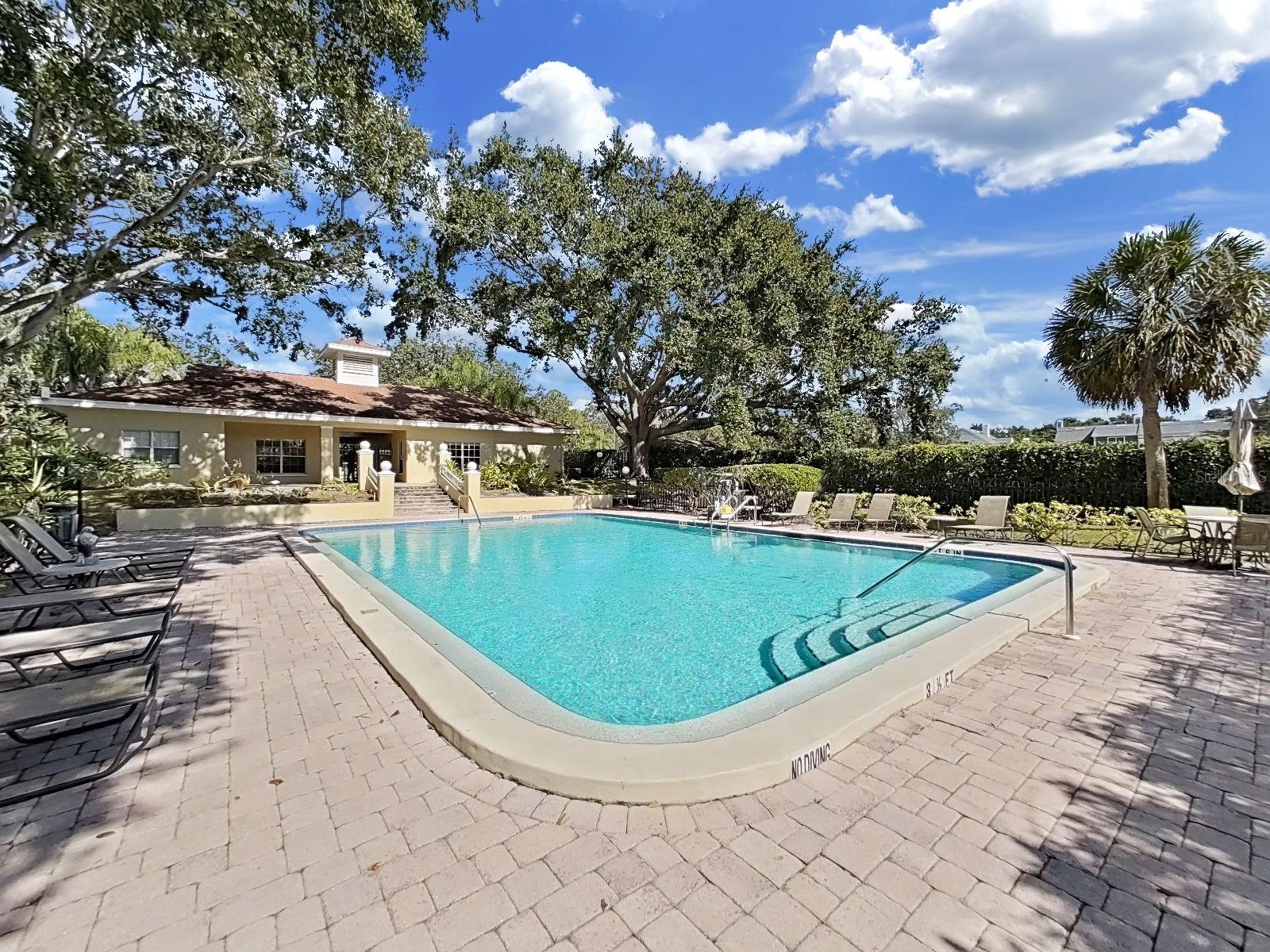 MEADOWLAKE PALM HARBOR CONDO - Residential