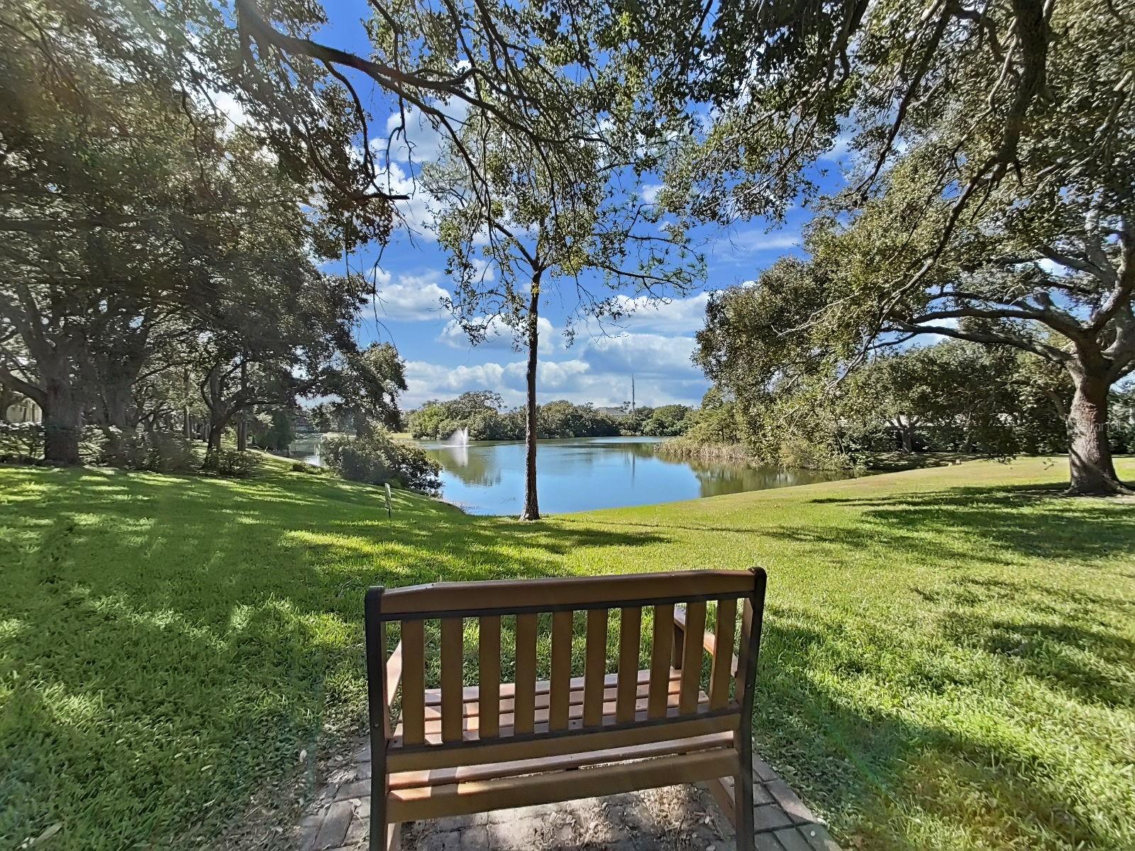 MEADOWLAKE PALM HARBOR CONDO - Residential