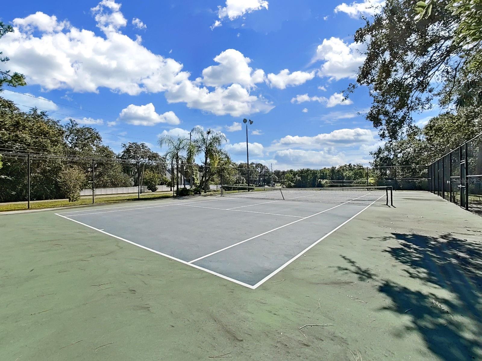 MEADOWLAKE PALM HARBOR CONDO - Residential