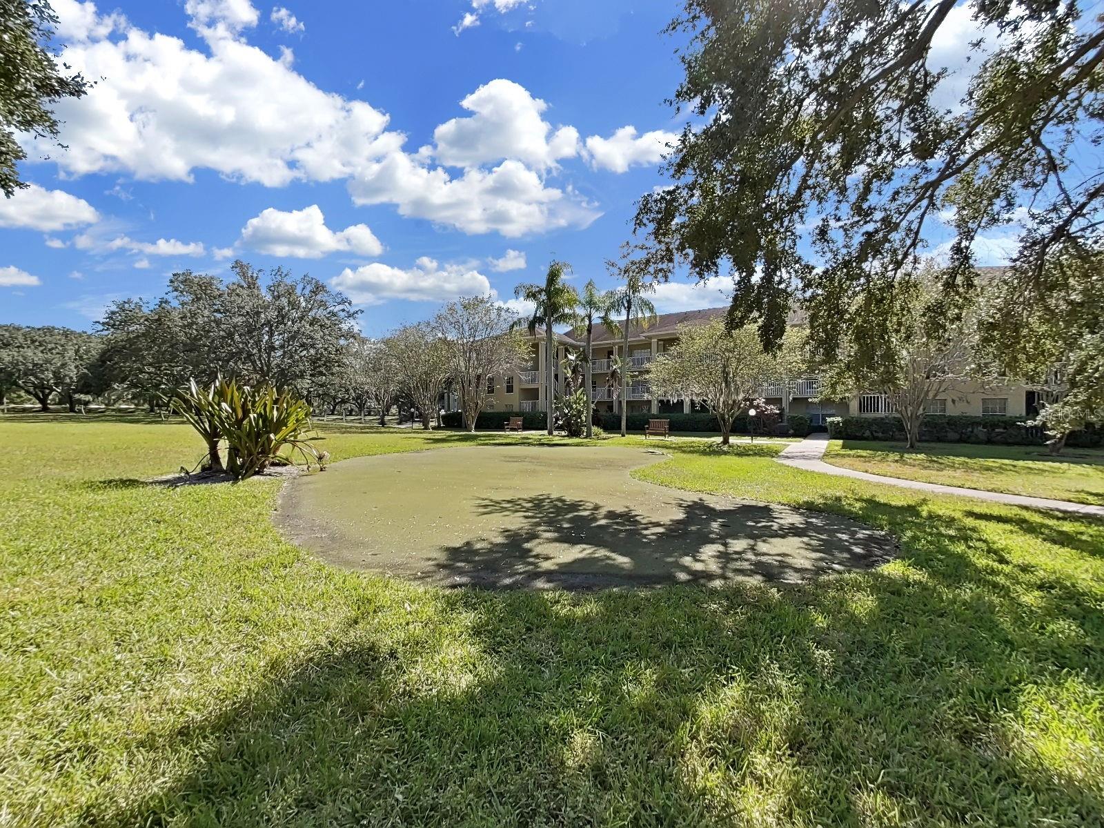 MEADOWLAKE PALM HARBOR CONDO - Residential