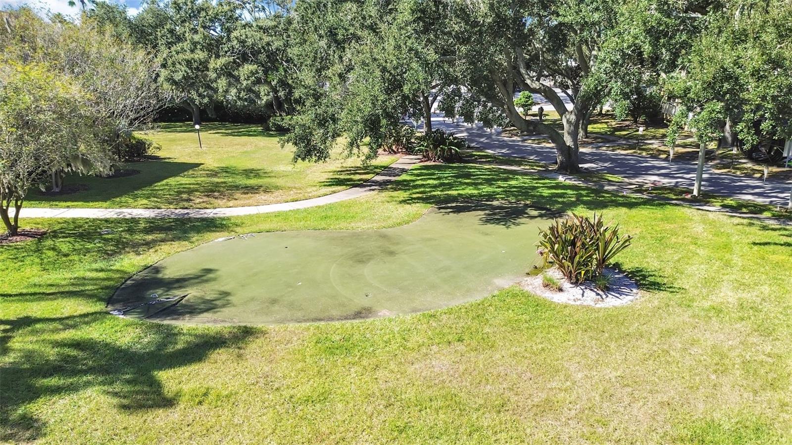 MEADOWLAKE PALM HARBOR CONDO - Residential