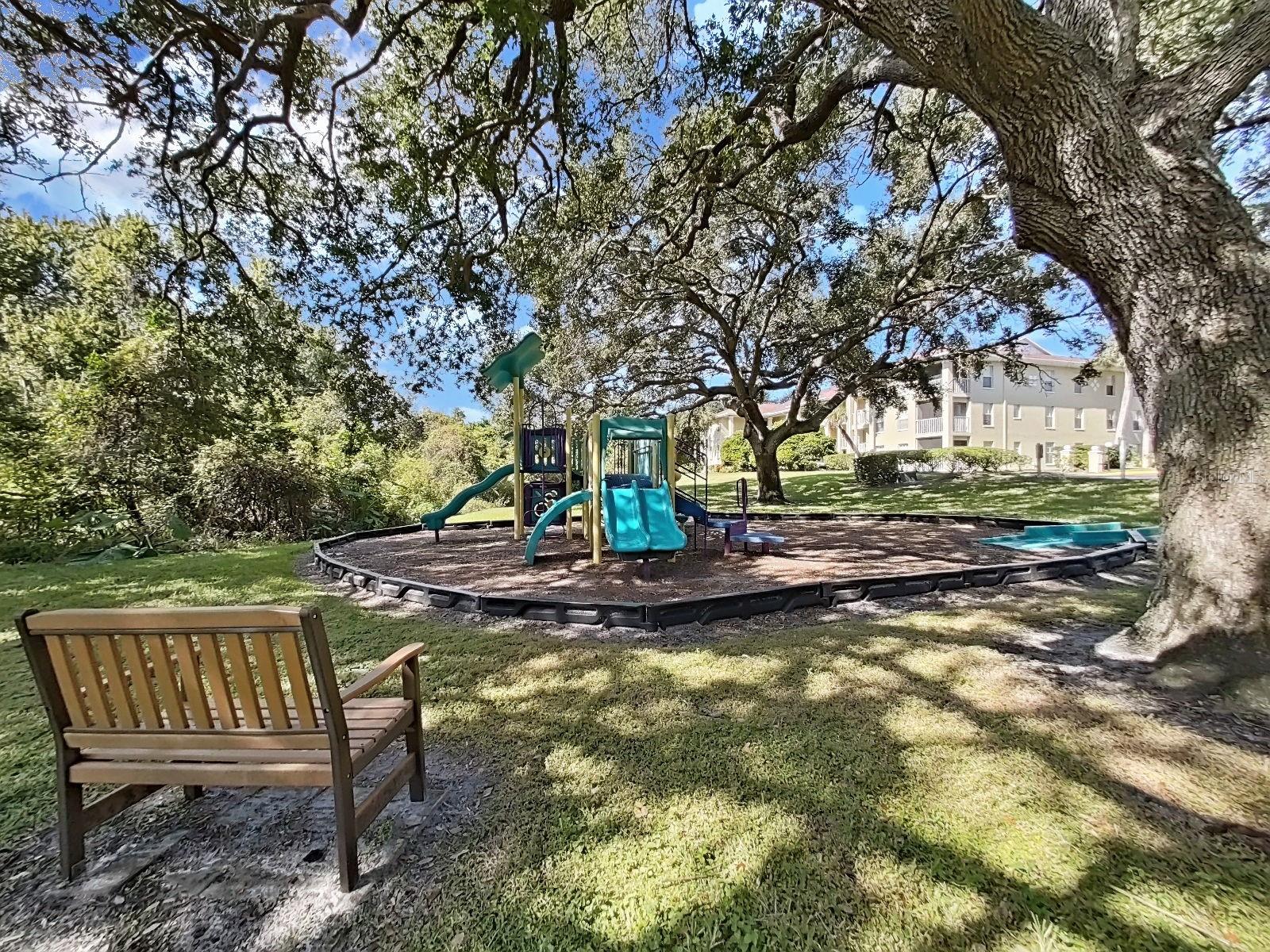 MEADOWLAKE PALM HARBOR CONDO - Residential