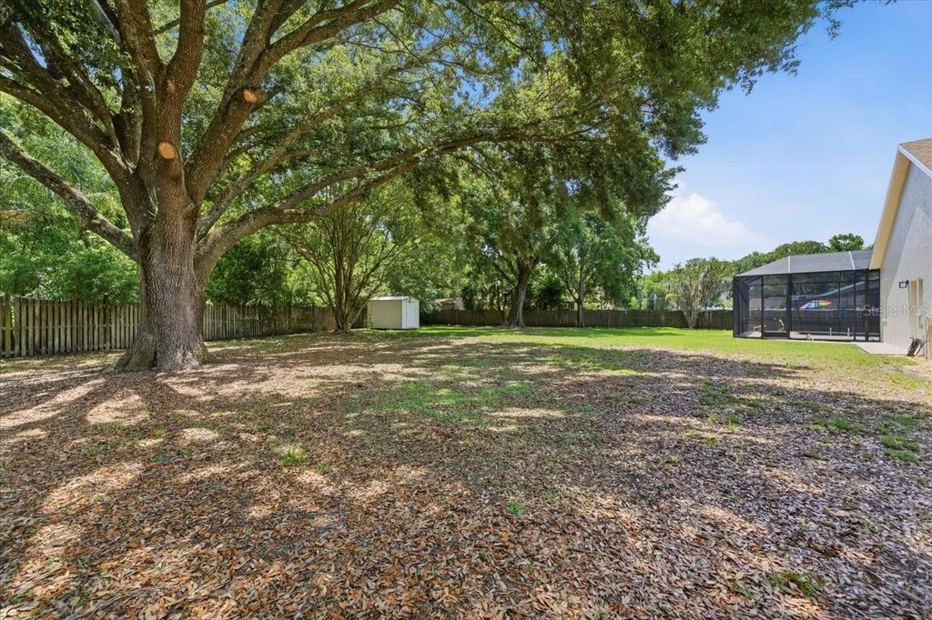Photo of 3902 Meadowlark Court, Land O Lakes, FL 34639 (MLS # TB8506986)