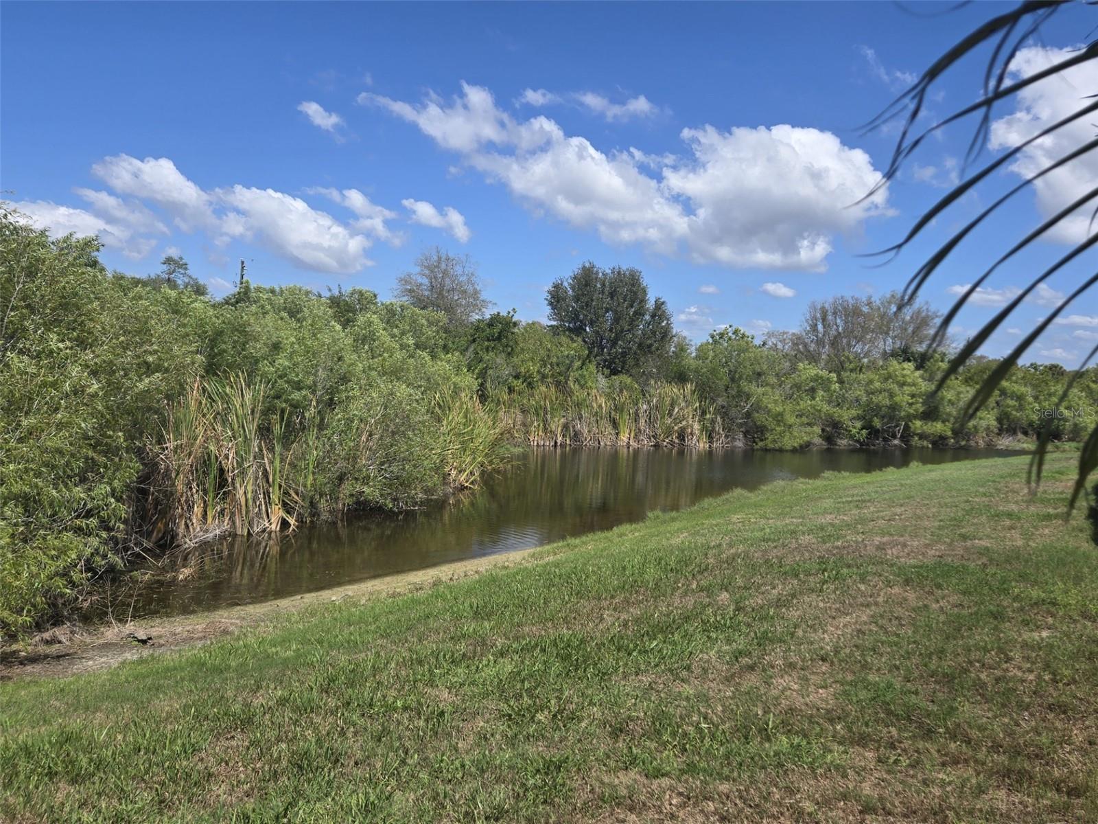 VENTURA VILLAGE - Residential