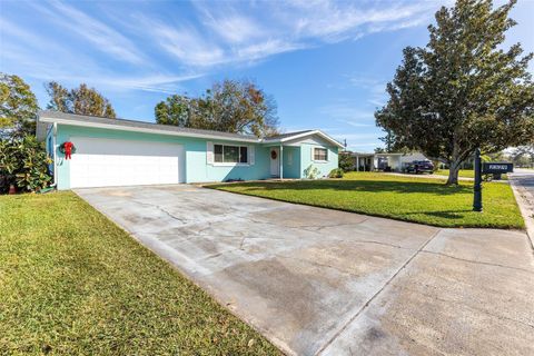 A home in SOUTH DAYTONA