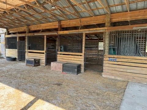 Tiny photo for 26645 County Road 33, Groveland, FL 34736 (MLS # TB8500484)