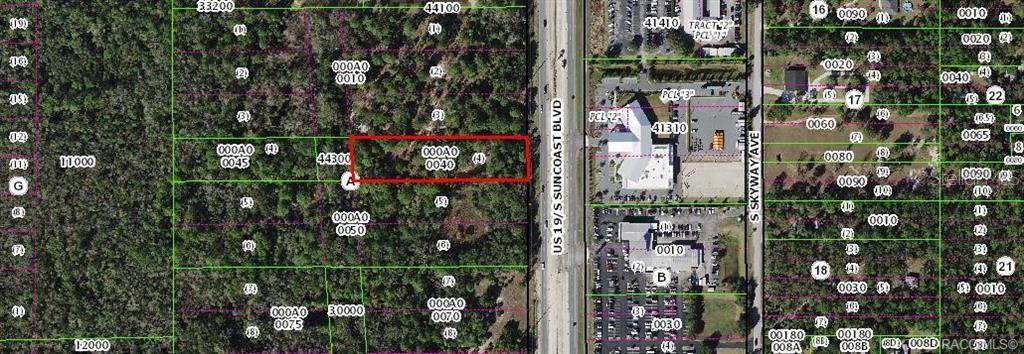 1224 S SUNCOAST BOULEVARD