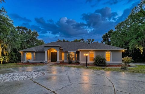 Photo of 464 E Liberty Street, Hernando, FL 34442 (MLS # W7885227)