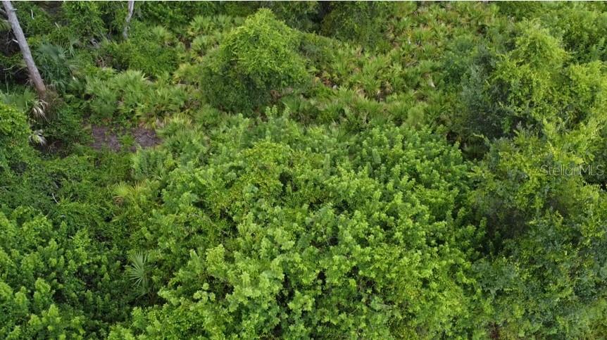 PORT CHARLOTTE SUB 51 - Land