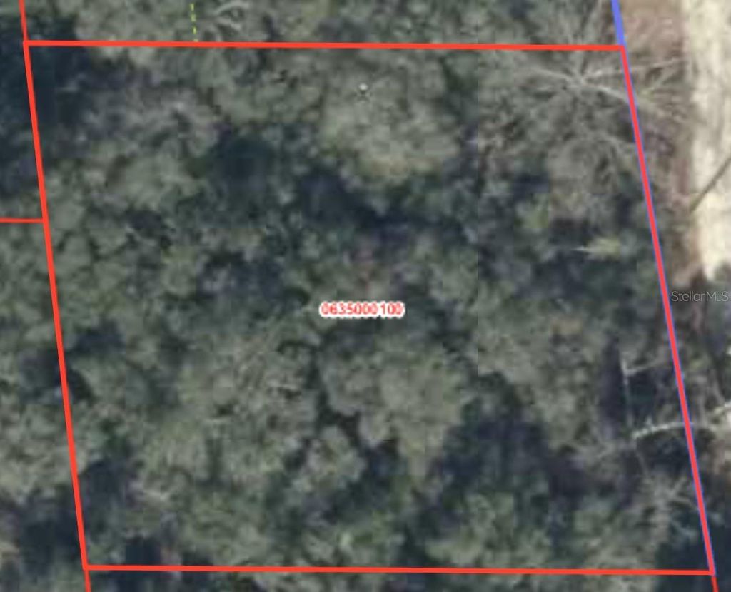 Photo of 230 SE 194 Terrace, Williston, FL 32696 (MLS # OM721232)