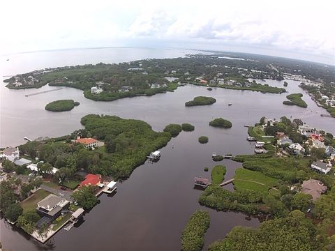 A home in PALM HARBOR