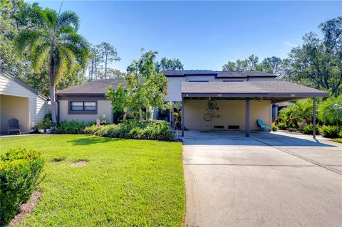 A home in OLDSMAR